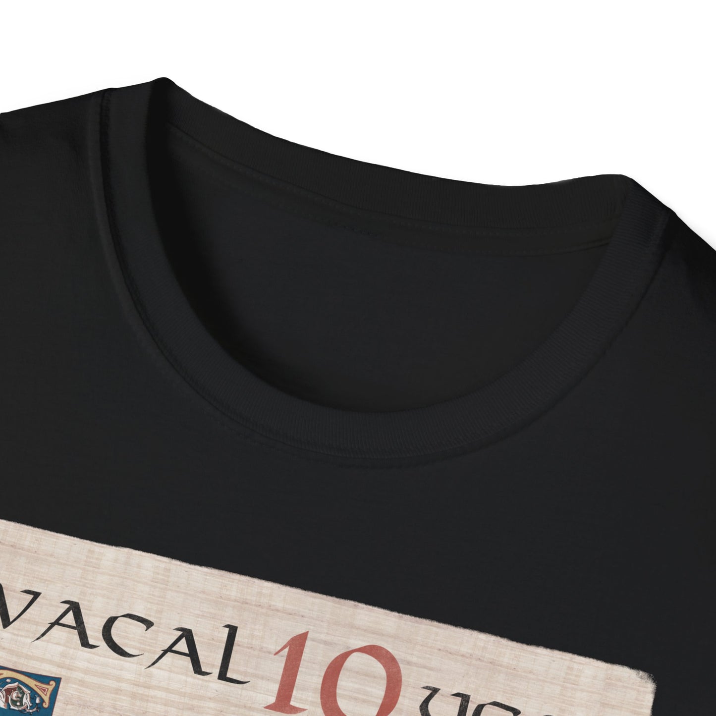 Bayeux Softstyle Avacal 10 Year Celebration Unisex T-Shirt