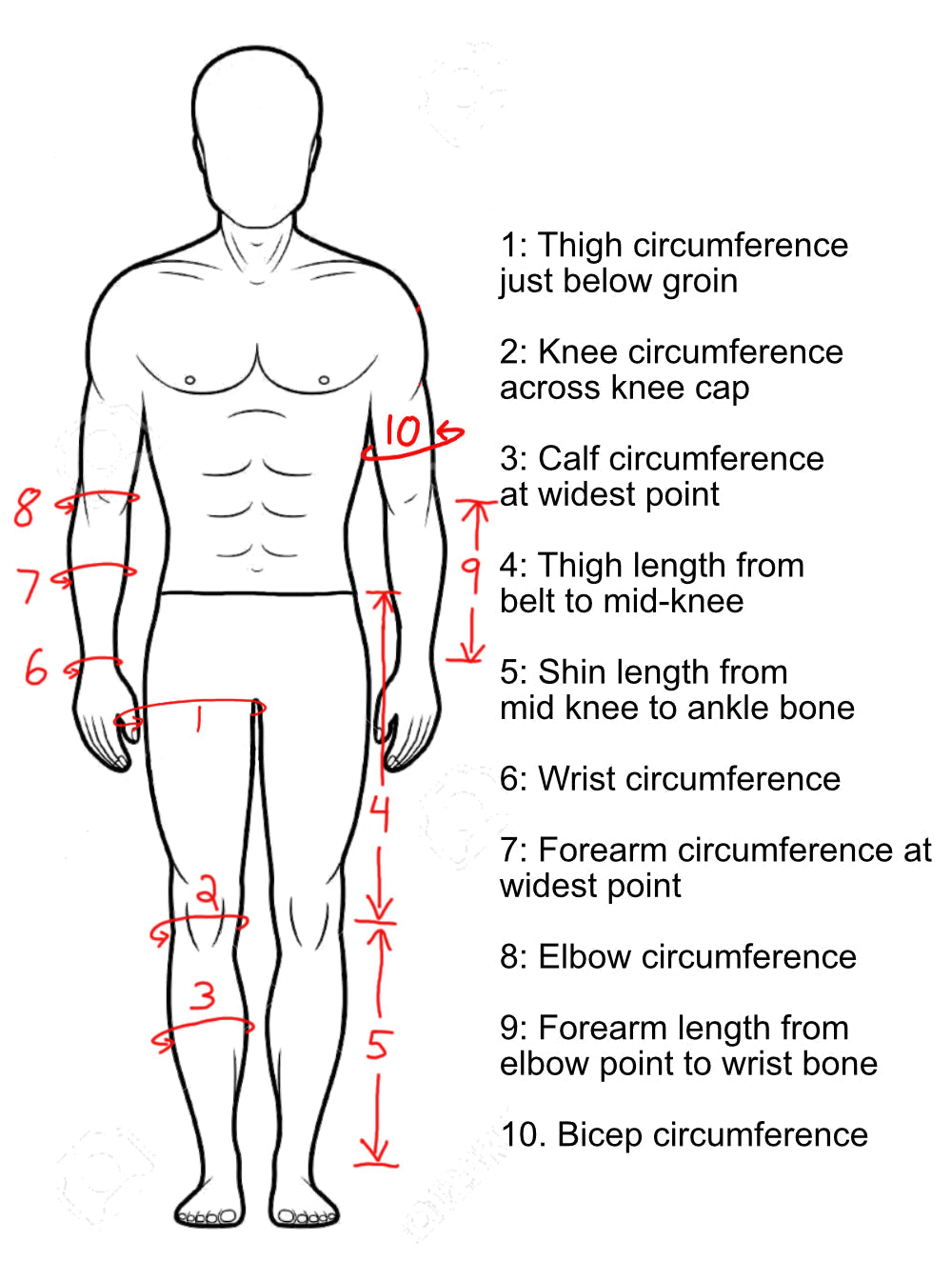 Three Quarter Cord-Articulated Leg Harness - Pair